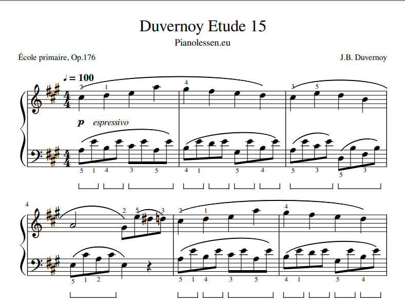 Duvernoy 15 PDF