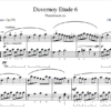 Duvernoy 6 PDF