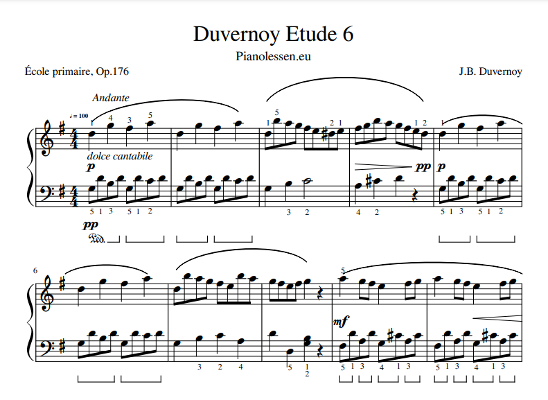 Duvernoy 6 PDF