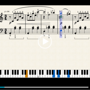 Beethoven Bagatelle A mineur Video